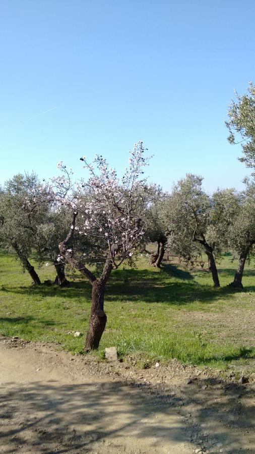 Cal Joanet, Acollidora Caseta A กราตาญ็อปส์ ภายนอก รูปภาพ
